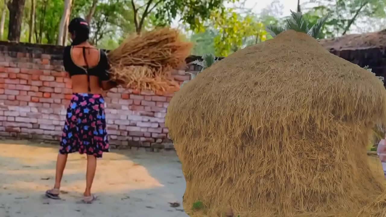 sexy jawan larki ki khet me chut chudai ki viral sex mms