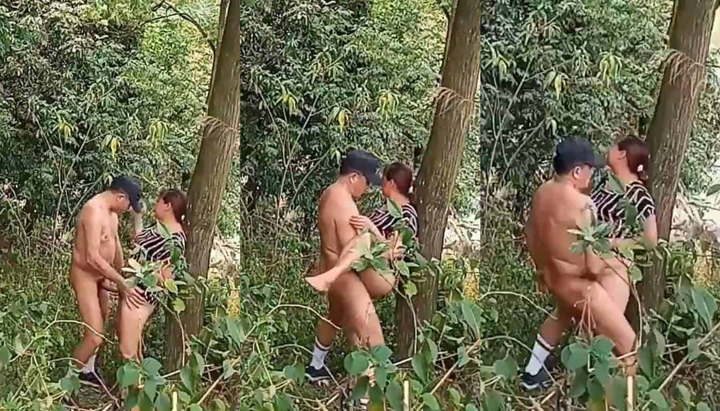 Pornhub Jungle mein apne lover se chut chudwati hot sikkim bhabhi full videos